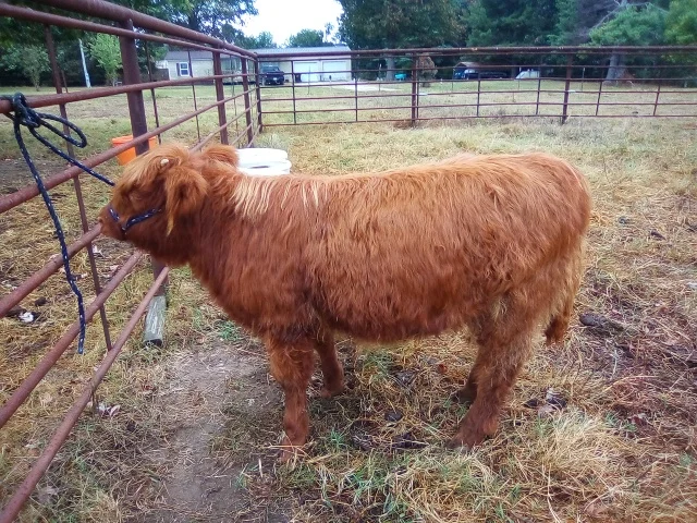 Consignment photo