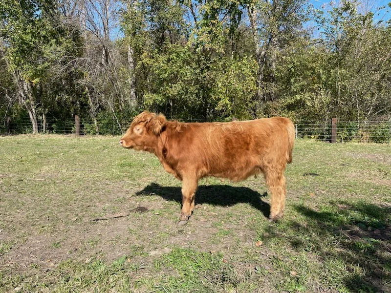 Consignment photo