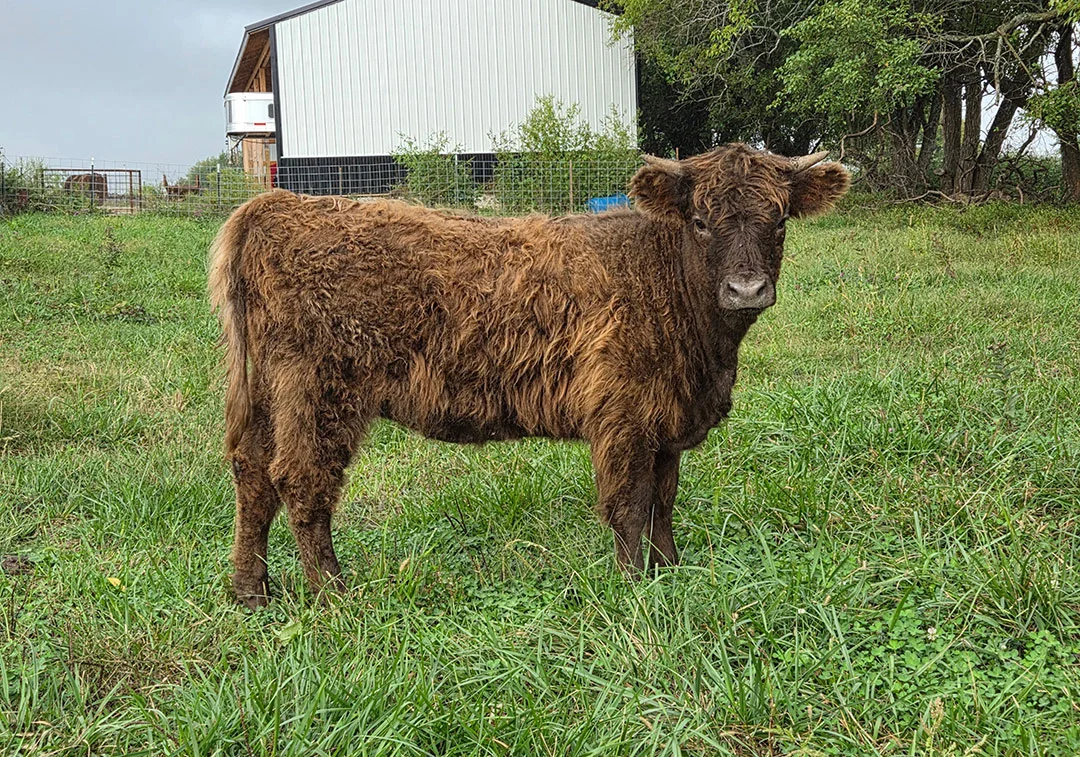 Consignment photo