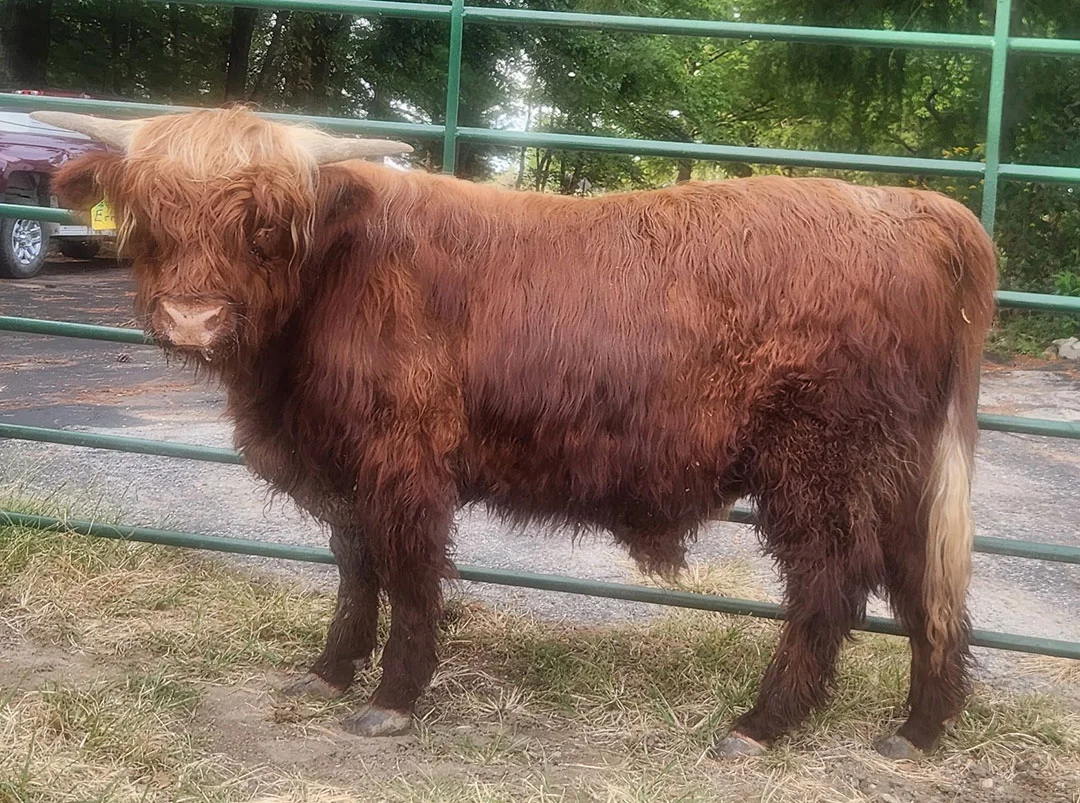 Consignment photo